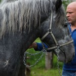 konj-posavac-Vedran-Perekovic (39)