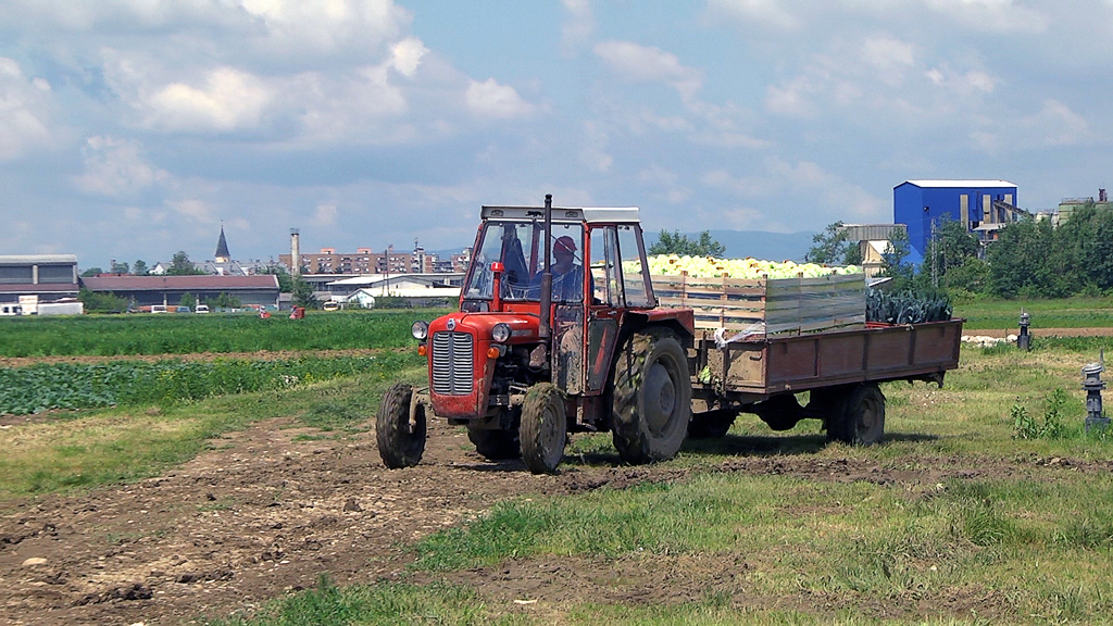 traktor,-povrce,-poljoprivreda