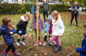 POSADI STABLO! Žalosna vrba, crveni javor, hortenzije i glicinije niknut će u Gradićima!