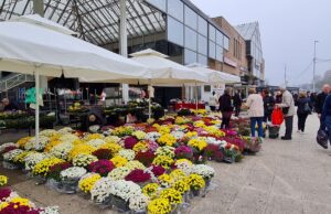 Na goričkoj tržnici cijene cvijeća veće za 20%: “Ovo mi je najgora godina”