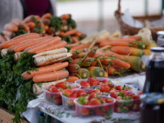 Kako poljoprivredom čuvati prirodu? Saznajte na radionici o bioraznolikosti u VG Inkubatoru