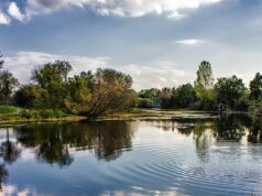 Predavanje o rijeci Odri i rijetkoj ribi crnki večeras u Područnoj knjižnici Galženica