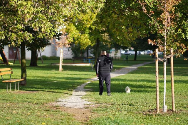 šetnja gorica grad katd