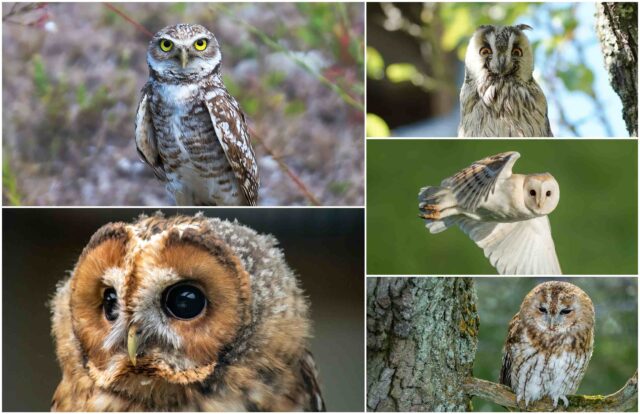 sove zagrebačke županije