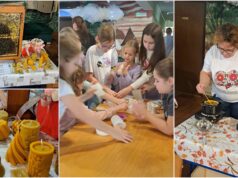 U Pokupskom održan projekt “Što nam pčela daje”