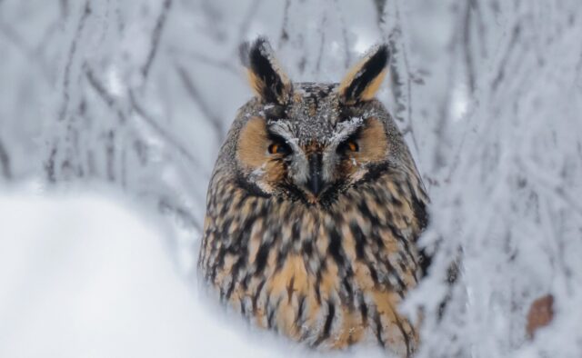 philipp-dusel-kezXAtGRqO8-unsplash