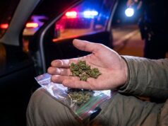 Dobio 20 dana zatvora: Vozio “napušen” i kod sebe imao tri grama konoplje