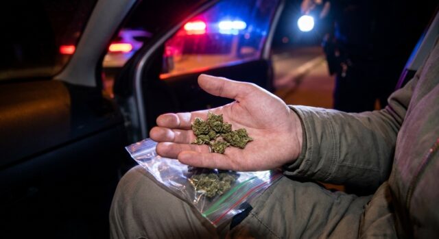 marihuana policija akcija