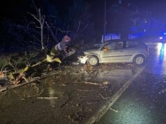 FOTO Stablo palo na automobil u Šestak brdu