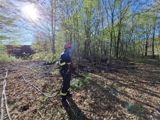 požar šume pokupsko1