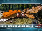 VIDEO TJEDNIK – pregled najvažnijih zbivanja u Velikoj Gorici