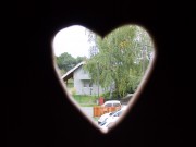 Što znamo o ljubavi i životu