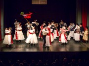 Bogatstvo pjesme i plesa na Smotri folklora
