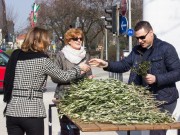FOTO Građanima podijeljene maslinove grančice za sutrašnji blagoslov