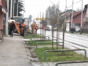 Sisačka ulica dobila drvored