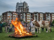 Dugogodišnja tradicija Jurjeva u Turopolju
