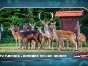 VIDEO TJEDNIK – pregled najvažnijih zbivanja u Velikoj Gorici