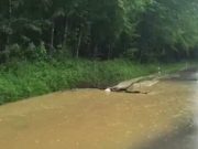 VIDEO Prelijevanje vode na cesti između Orlekovića i Starog Farkašića