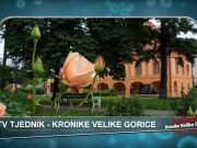 VIDEO TJEDNIK – pregled najvažnijih zbivanja u Velikoj Gorici