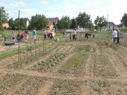 Grad daje nove gradske vrtove – evo kako možete dobiti vrtnu parcelu na korištenje
