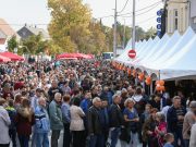 FOTO Jubilarno izdanje Gastro Turopolja privuklo rekordan broj posjetitelja
