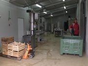 FOTO Elementarna nepogoda voćarima pomrsila planove