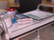 Epidemija gripe u Velikoj Gorici