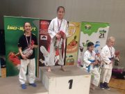FOTO Gorički karatisti osvojili 12 medalja