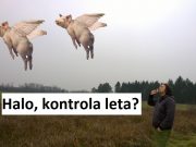 FRIK IZ KVARTA Turopoljske svinje preživjele kolinje