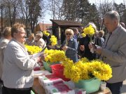 FOTO U Velikoj Gorici obilježen Dan narcisa i podržana borba protiv raka dojke