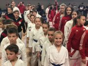 Karate klub Velika Gorica u Varaždinu osvojio 11 medalja