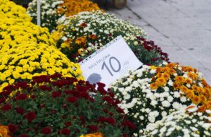Što mislite o novim obvezama i baznim cijenama? Otvoreno e-Savjetovanje za sve obrtnike