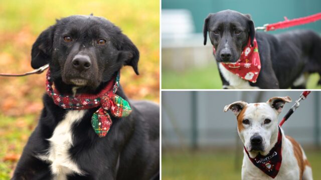 Social media report Turistička zajednica VG