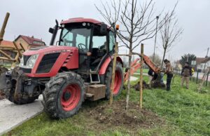 FOTO Posađena nova stabla na dječjem igralištu na Plesu