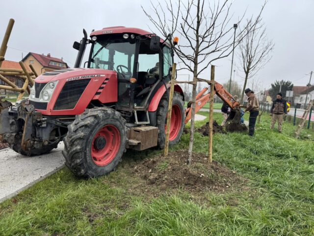 sadnja stabala vg komunalac (1)