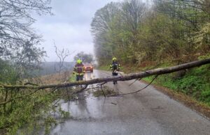 Vatrogasci Zagrebačke županije i dalje na terenu: Zabilježeno je ukupno 729 intervencija sa 2962 vatrogasaca
