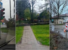 FOTO Olujno nevrijeme u Velikoj Gorici i okolici: Srušena stabla, uništena signalizacija i otkazana nastava