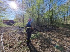 Ponovno gorjela šuma kod Pokupskog