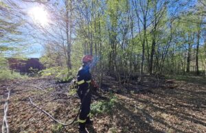 Ponovno gorjela šuma kod Pokupskog