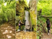 Cerinski vir – skriveni slap Samoborskog gorja i staza koja vodi kroz zeleni tunel