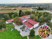 Učenici OŠ Vukovina u novoj školskoj godini svakog će tjedna dobivati besplatno svježe voće i povrće