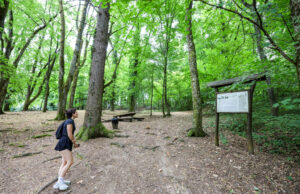 Anin perivoj u Samoboru — zelena oaza za šetnju, rekreaciju i aktivni odmor