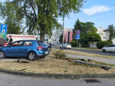 FOTO Prometna nesreća: Srušio prometni znak i mlado stablo