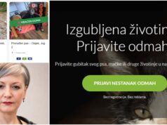 Izgubili ste psa? Melita je osmislila platformu “IzgubljenPas” kako bi oglas u sekundi stigao do pravih ljudi