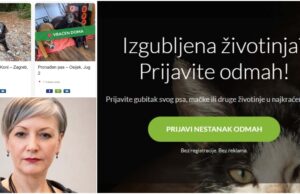 Izgubili ste psa? Melita je osmislila platformu “IzgubljenPas” kako bi oglas u sekundi stigao do pravih ljudi
