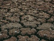 Prirodna nepogoda zbog suše proglašena i za općinu Orle
