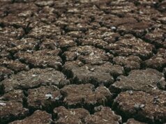 Prirodna nepogoda zbog suše proglašena i za općinu Orle