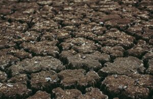Prirodna nepogoda zbog suše proglašena i za općinu Orle