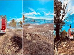 FOTO & VIDEO U Pokupskom gorjela velika površina trave i niskog raslinja