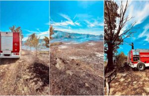 FOTO & VIDEO U Pokupskom gorjela velika površina trave i niskog raslinja